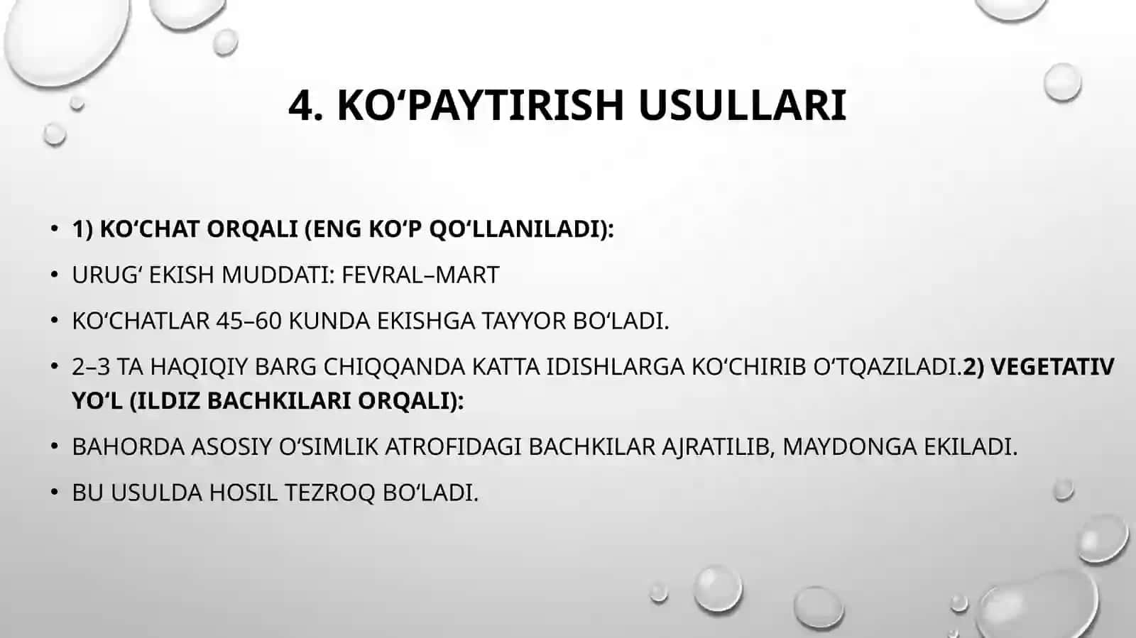 Artishok yetishtirish 4