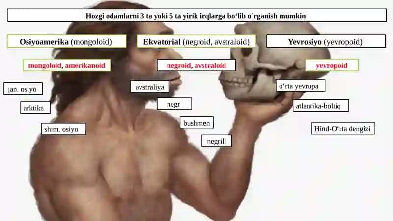 IRQIY TIP VA TILLARI MASALASI 4