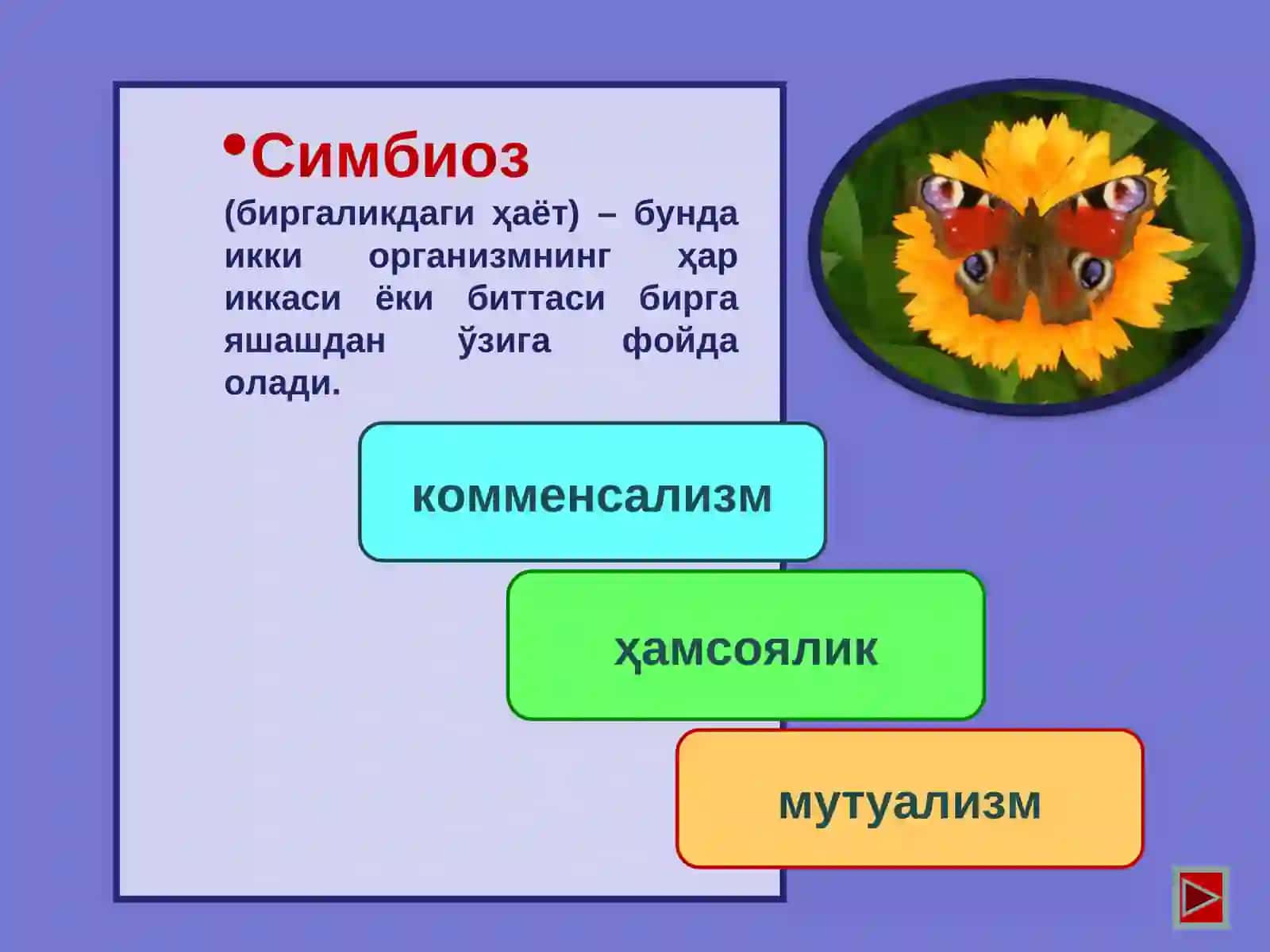 Биотик омиллар 4