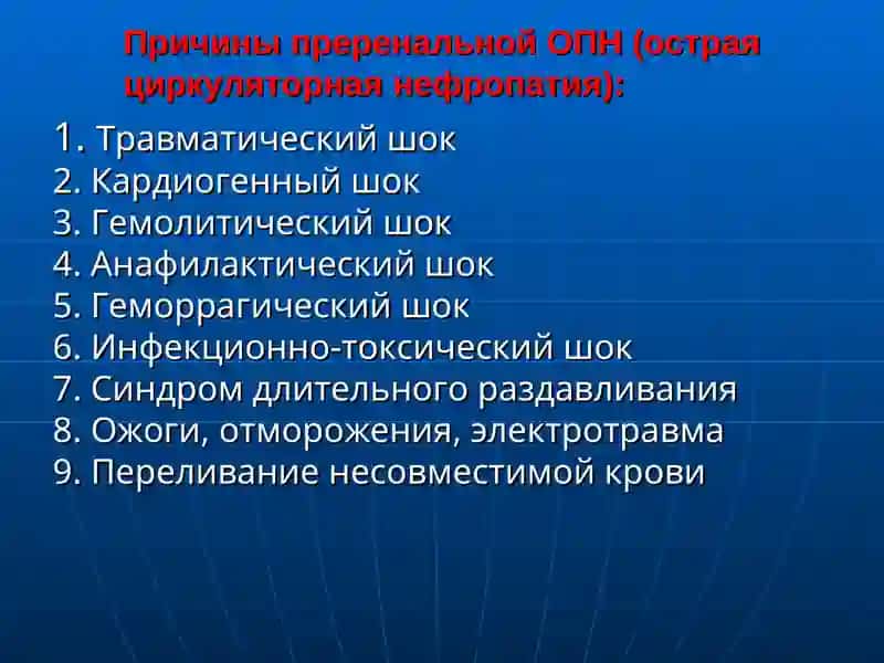 Студентлар учун касб-ҳунаржўм 4