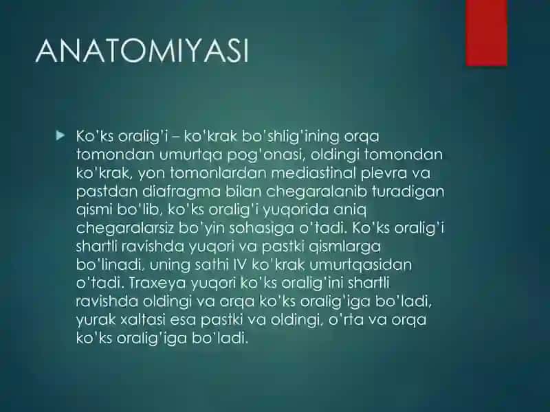 Ko’ks Oraliği Anatomiyasi 4