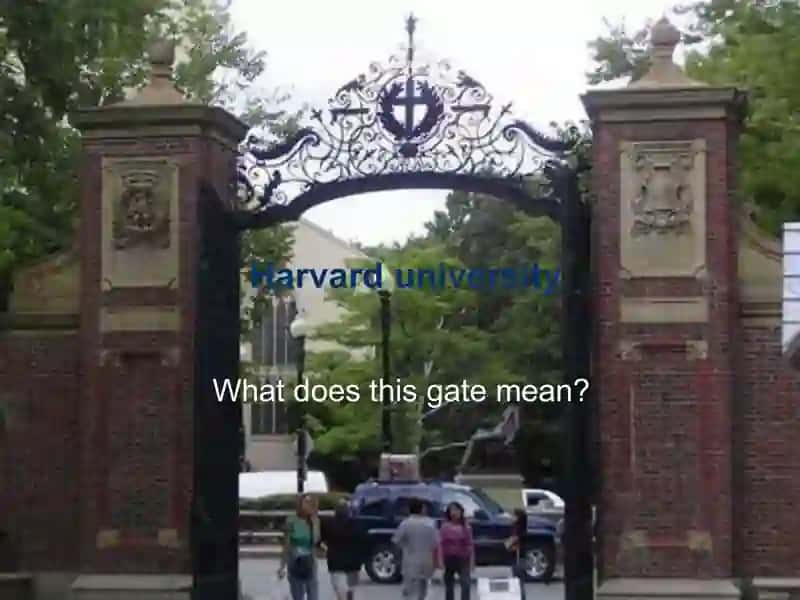Famous Universities in the World 4