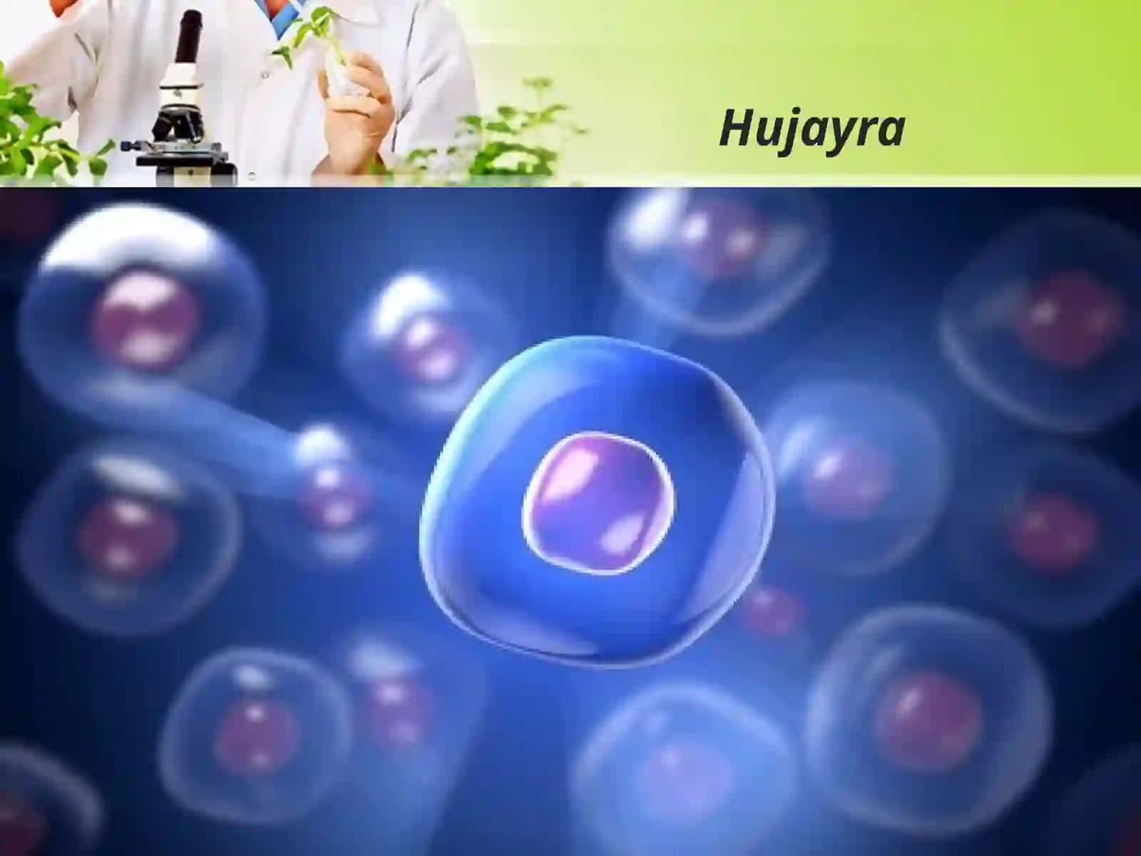 Hujayra patalogiyasi va uning kelib chiqish sabablari 4