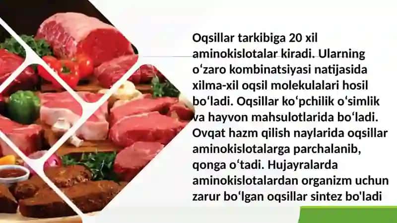 Oqsillar almashinuvi 4