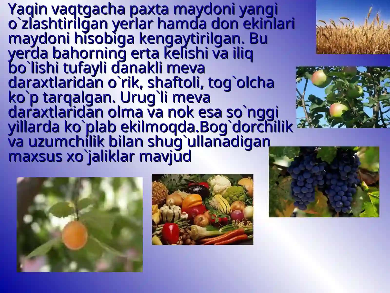 Buxoro viloyati 4
