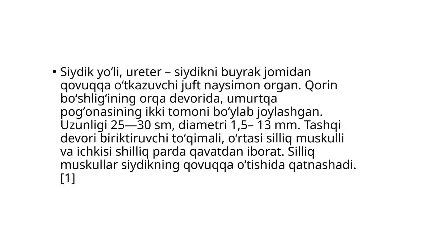 Buyrak va siydik yo‘llari anatomiyasi 4