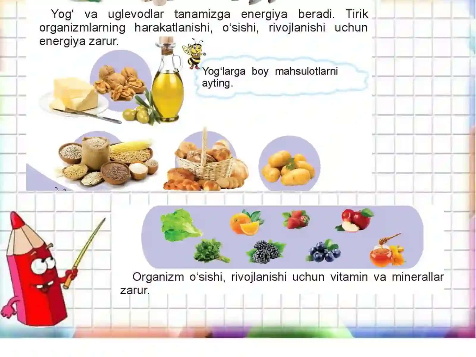2-sinf Tabiiy fan To'g'ri ovqatlanish dars ishlanma va taqdimoti 4