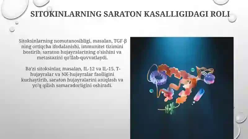 Interferonlar va Sitokinlarning Sintezi 4