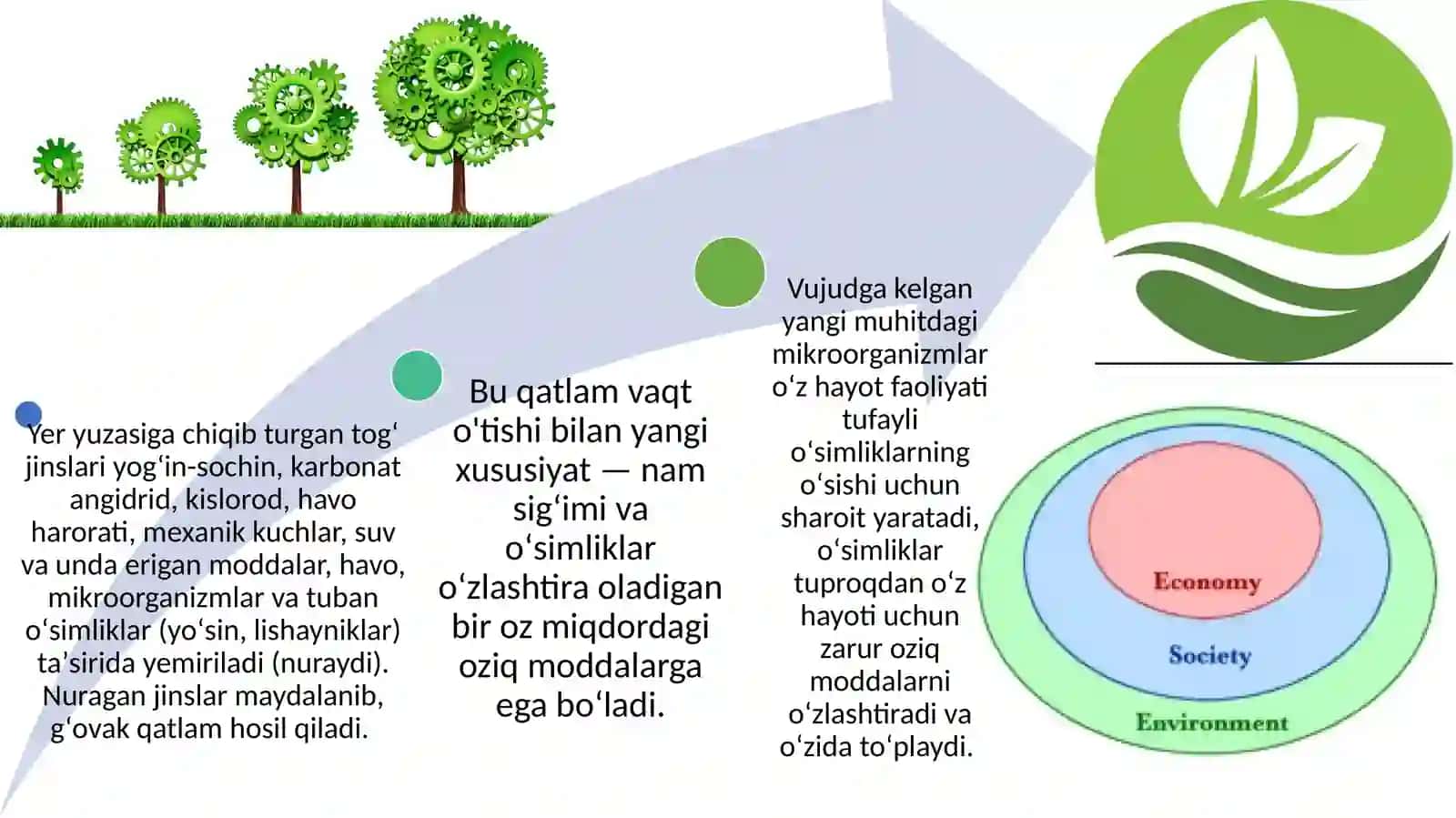 Tuproqni himoya qilish 4