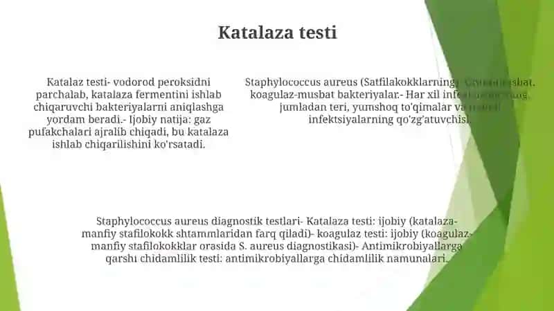 Satfilakoklarning Diagnostikasi 4