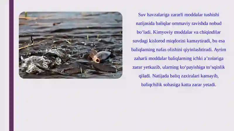 Suvning Ifloslanishi Global Muammo 4