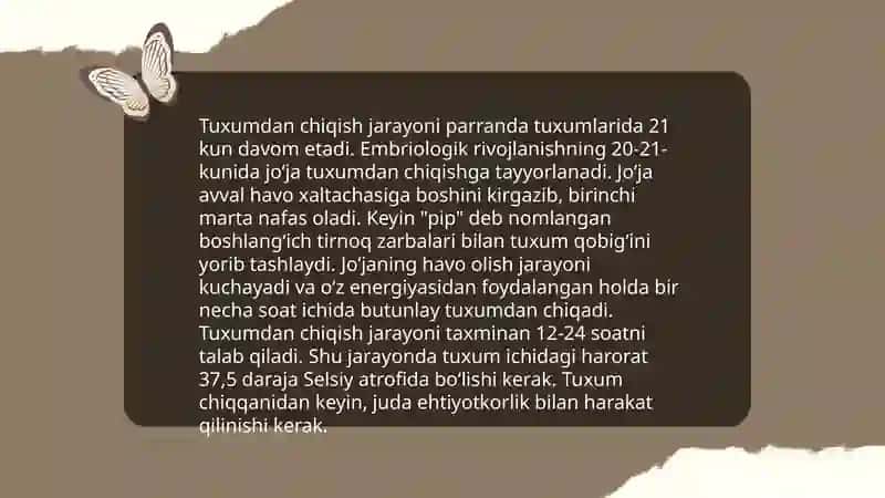 Reptiliyalarning individual rivojlanish xususiyatlari 4