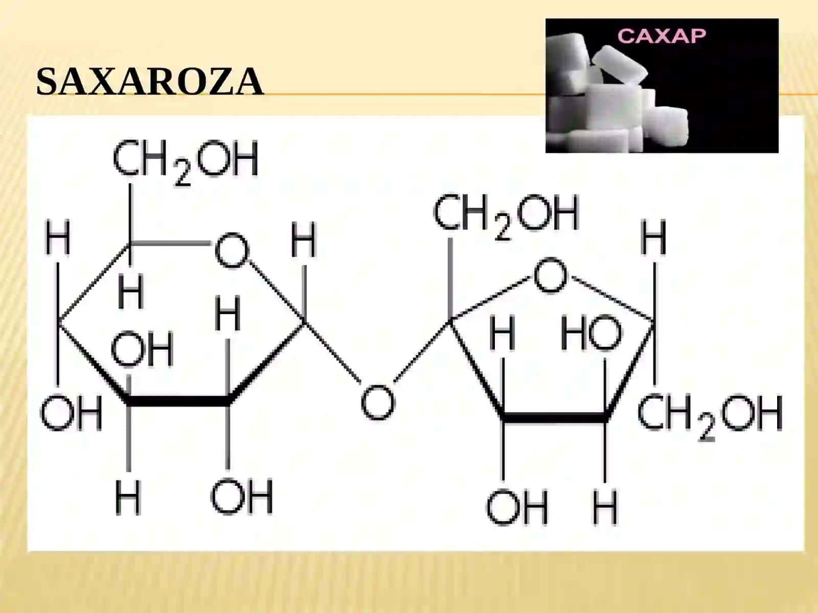 Disaxaridlar: Maltoza va Saxaroza 4