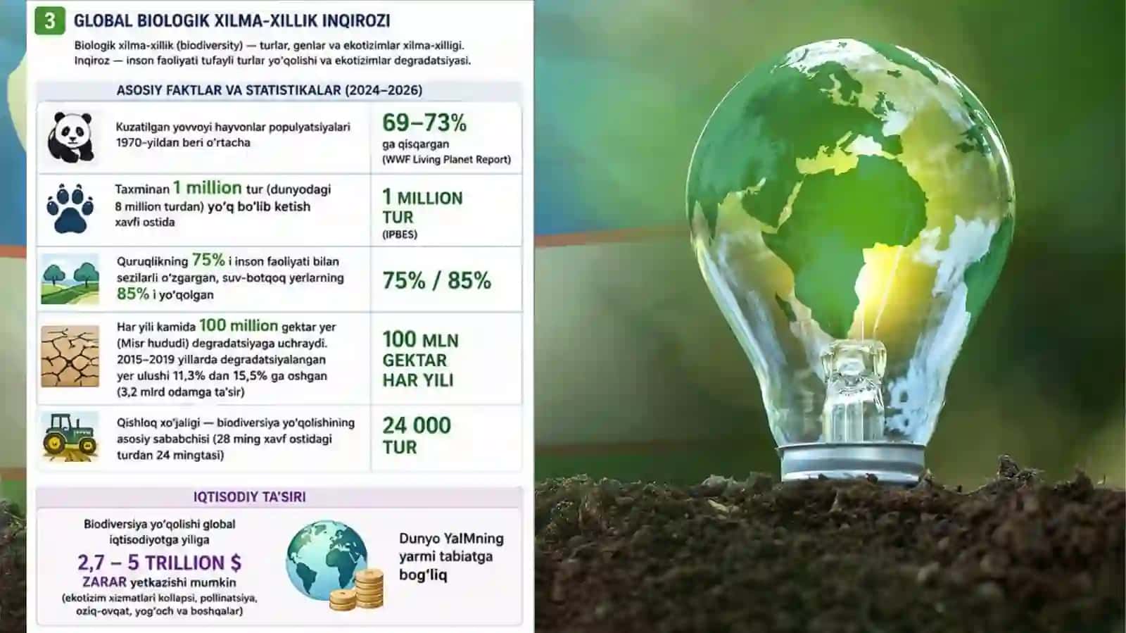 Ekologik siyosat va uni amalga oshirish mexanizmlari 4