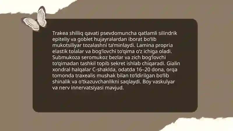 Oʻpka va nafas yoʻllarining gistologiyasi 4