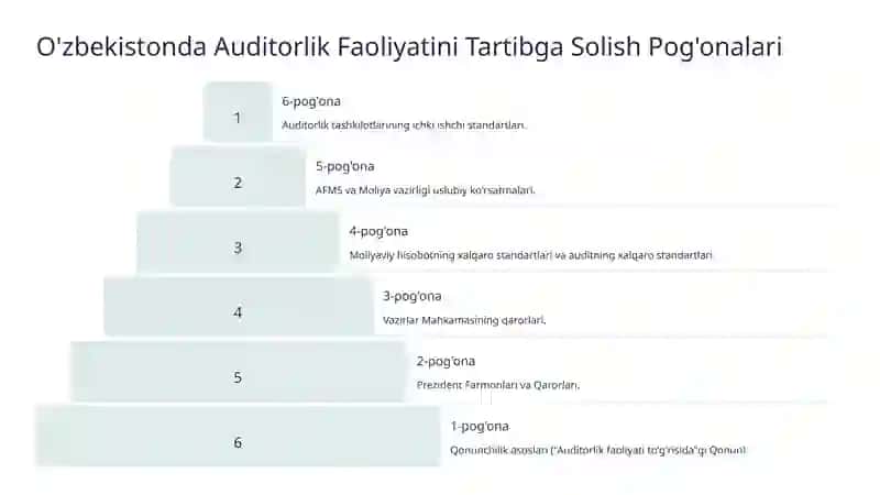 Auditorlik Faoliyatining Huquqiy Asoslari 4