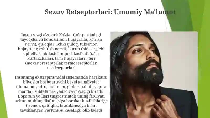 Inson sezgi organlari 4