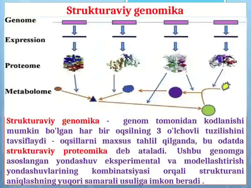 genomlarda oqsil strukturalarini modellashtirish 4