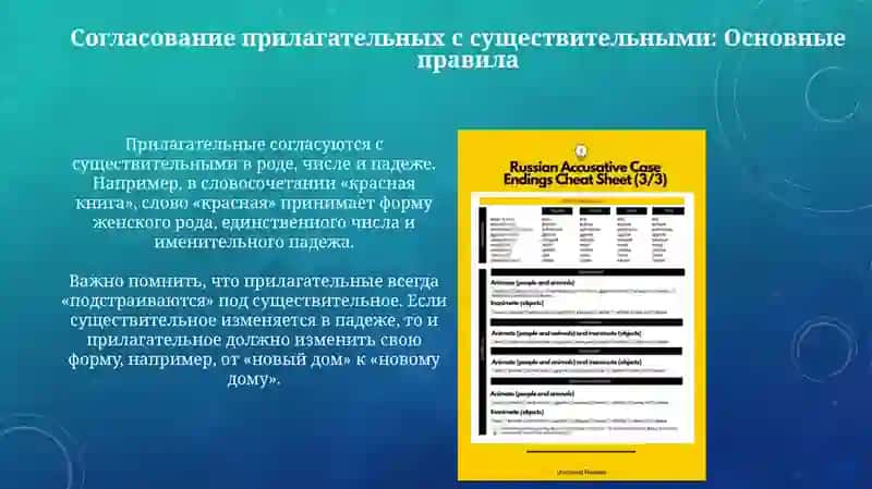 Падежная форма имени прилагательных 4