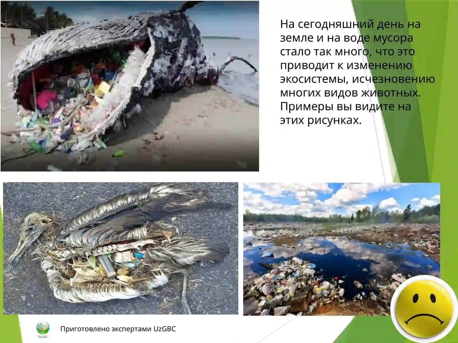 ЗЕЛЕНЫЙ УЗБЕКИСТАН 4