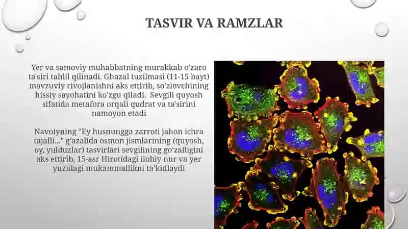 Navoiyning "Ey husnungga zarroti jahon ichra tajalli… mustazodining tahlili" 4