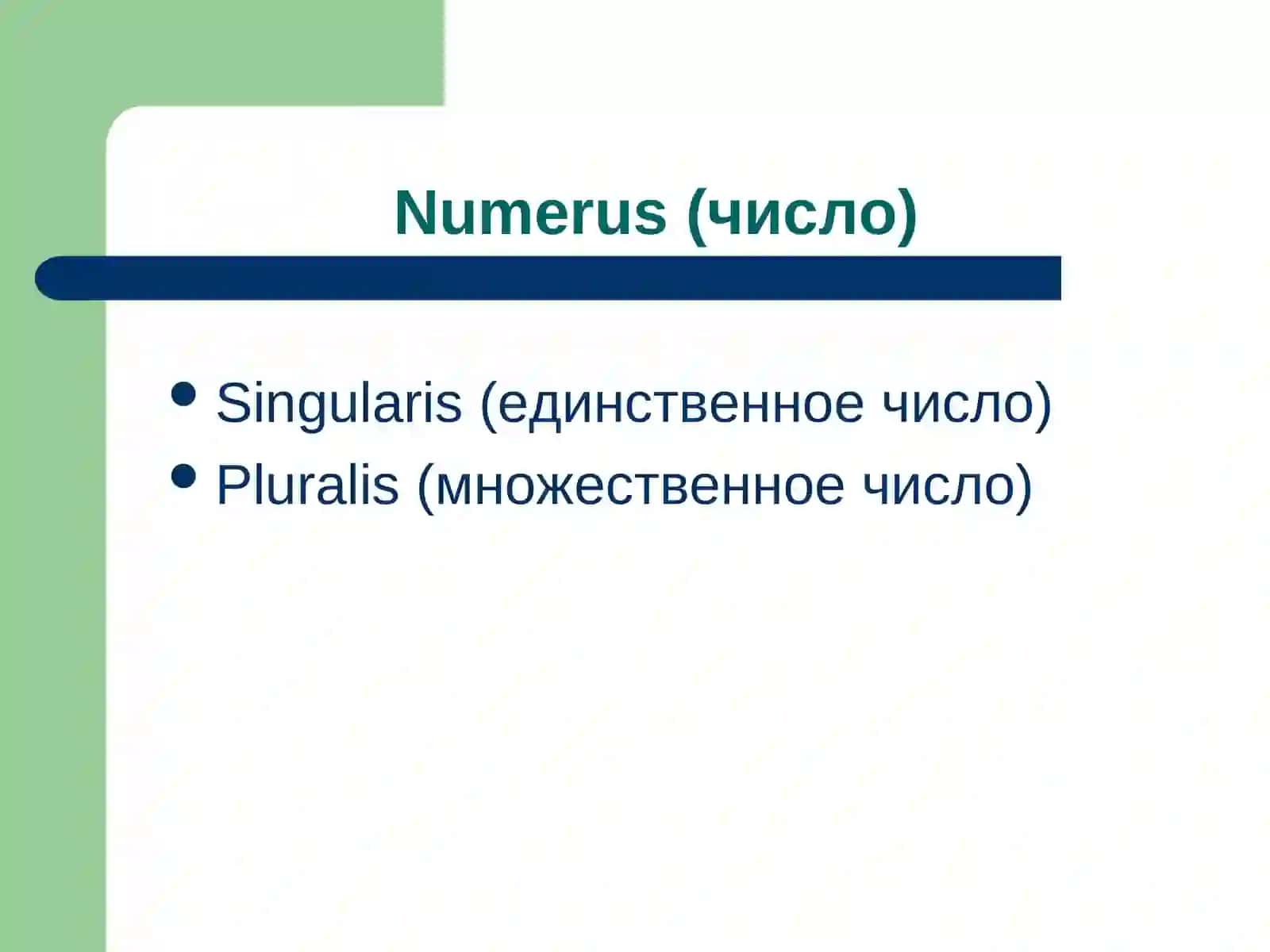 ИМЯ СУЩЕСТВИТЕЛЬНОЕ 4