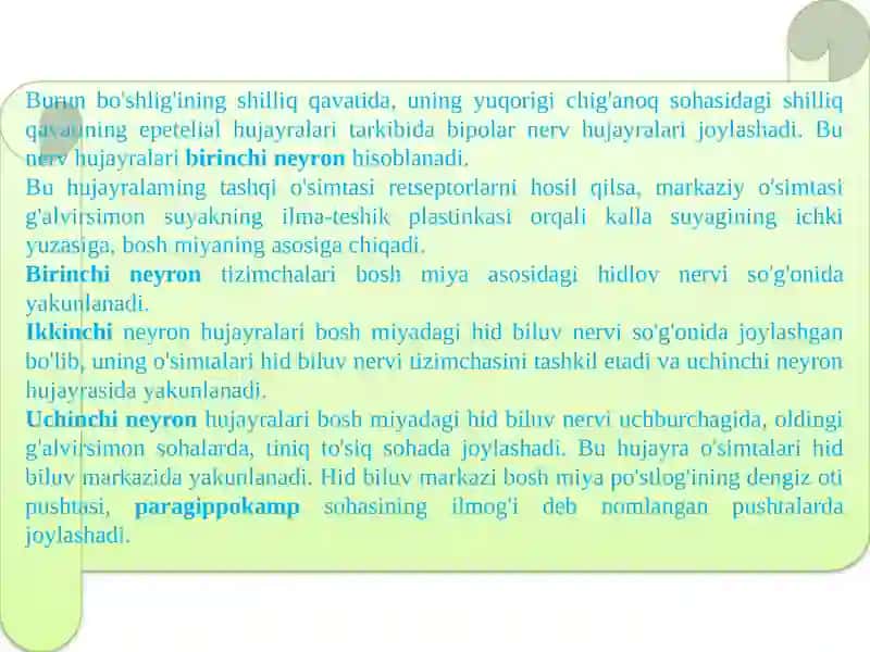 Hidbilish va ta'mbilish organlarini tuzilishi 4