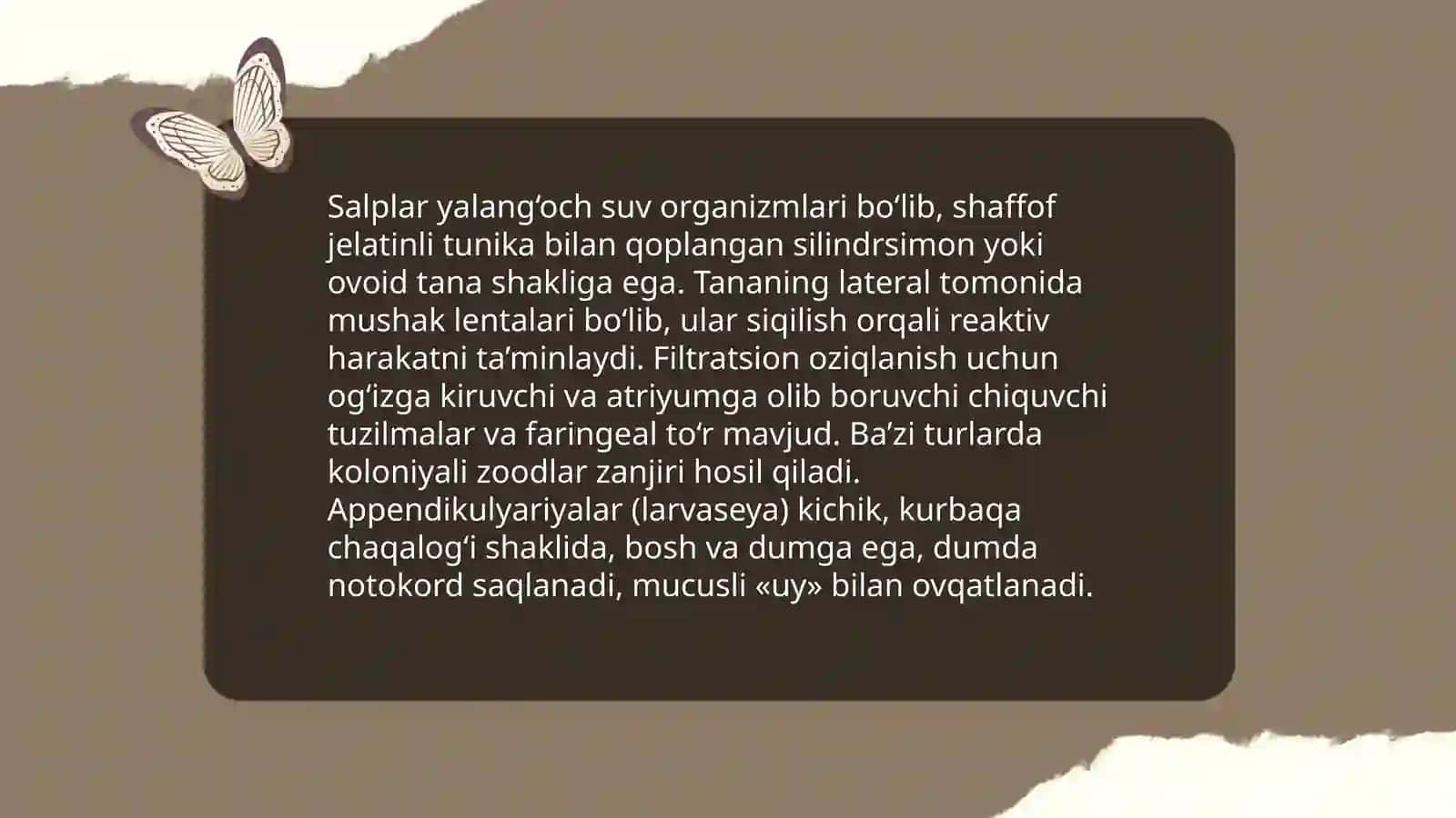 Salplar va appendikulyariyalar sinfi 4