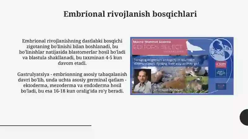 Ontogenezdavrlari 4