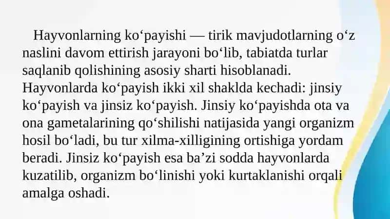 Hayvonot olami 4