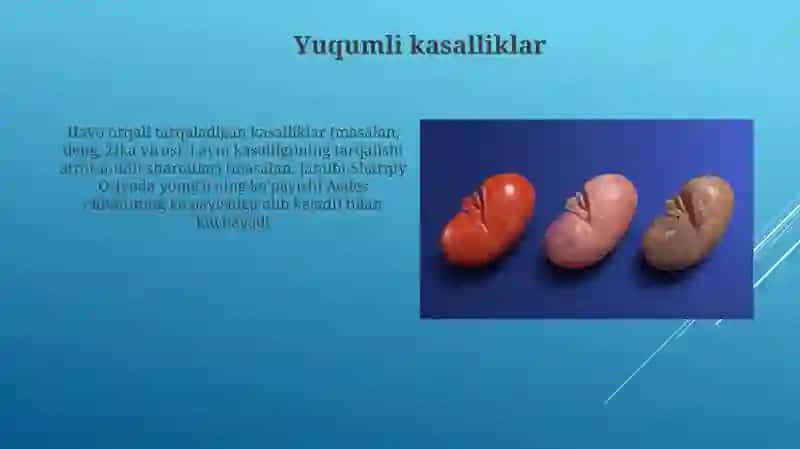 Ijtimoiy-iqtisodiy omillar 4