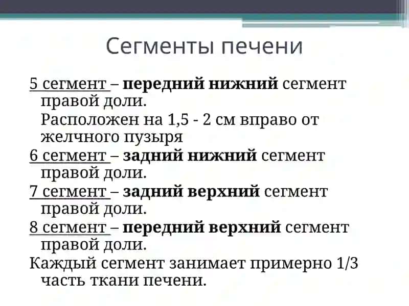 Ультразвуковая диагностика заболеваний печени 4