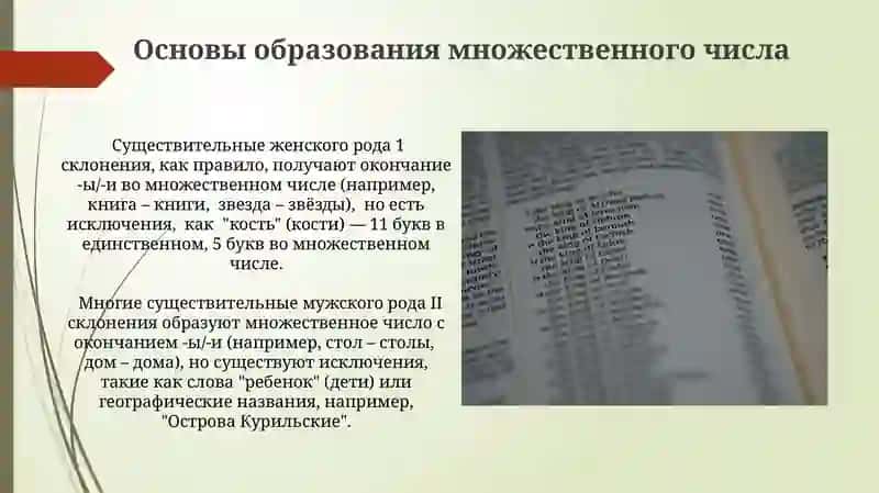 Множественное число имен существителные 4