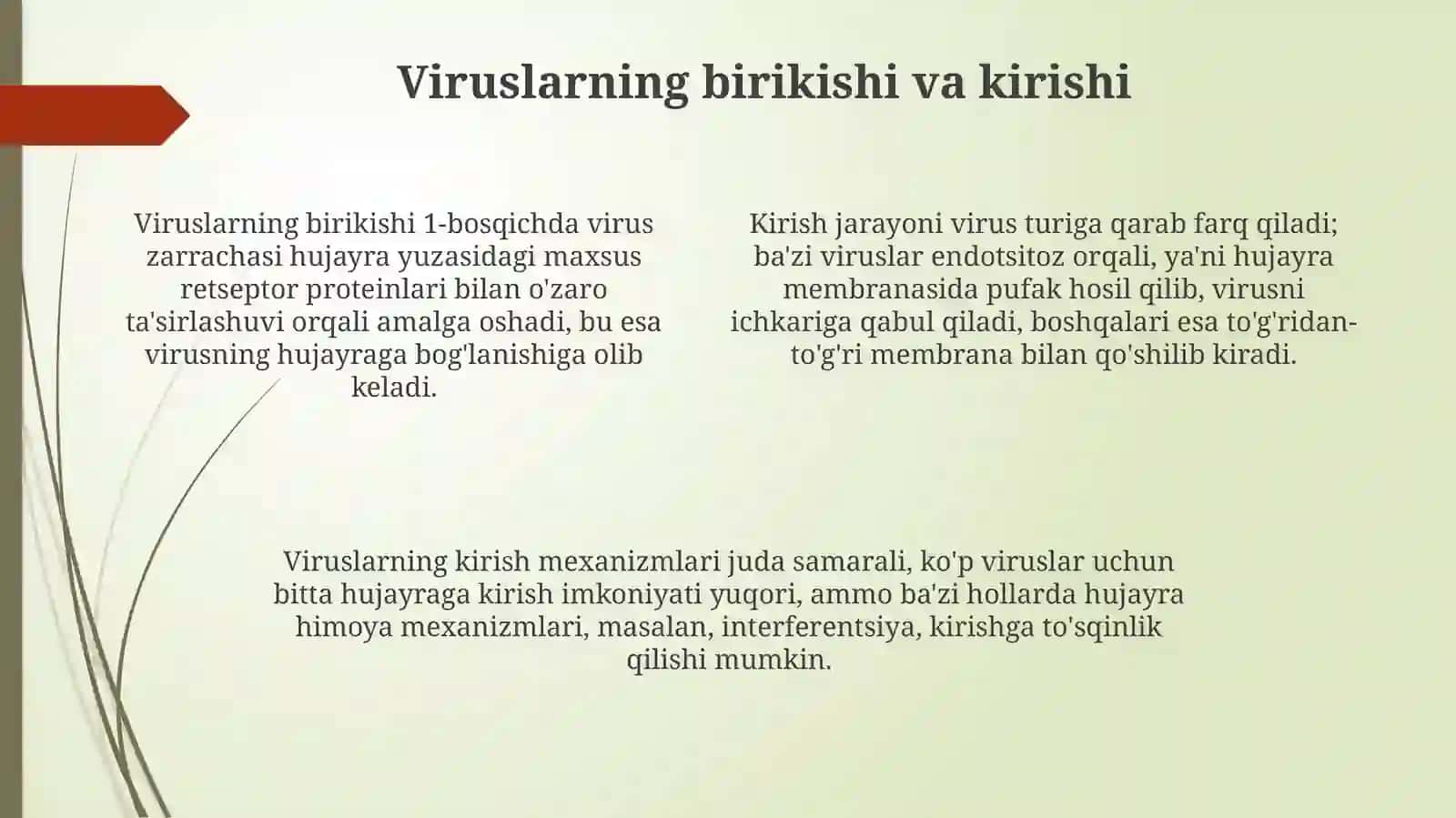 Viruslarning replikatsiya mexanizmlari 4