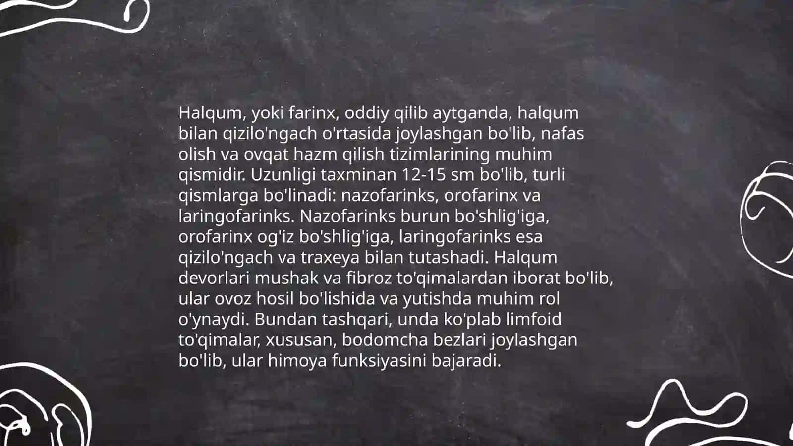 Halqum topogirafik anatomiyasi 4