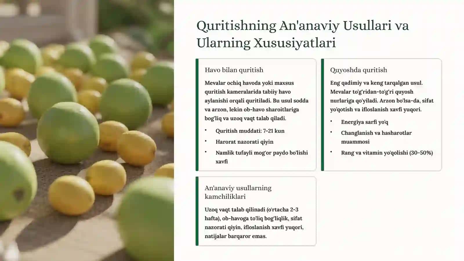 Mevalarni Soyada Quritish Texnologiyasi 4