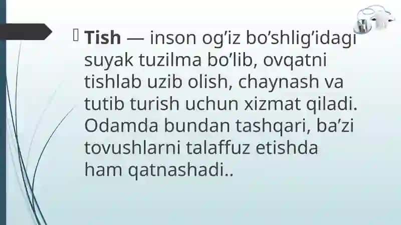 Tish To'qimalarining Tuzilishi 4