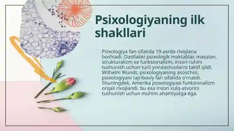 Psixologik maktablarning yuzaga kelishi tarixi 4