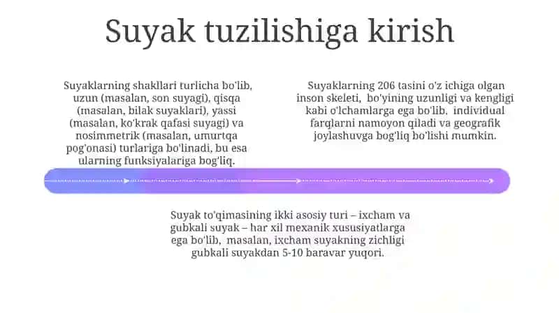 Suyaklar tuzilishi 4