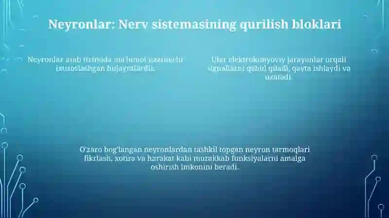 Oliy nerv faoliyati 4