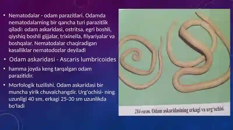Yumaloqchuvalchanglar 4