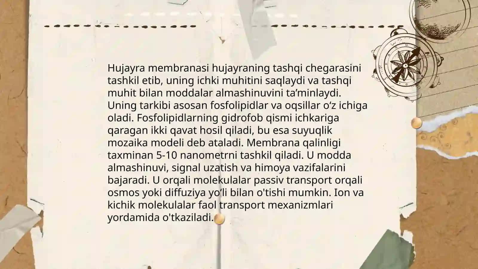 Hujayra 4