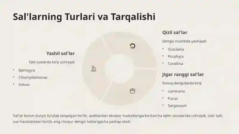 Sal’lar va Appendikulyariyalar Sinfi 4