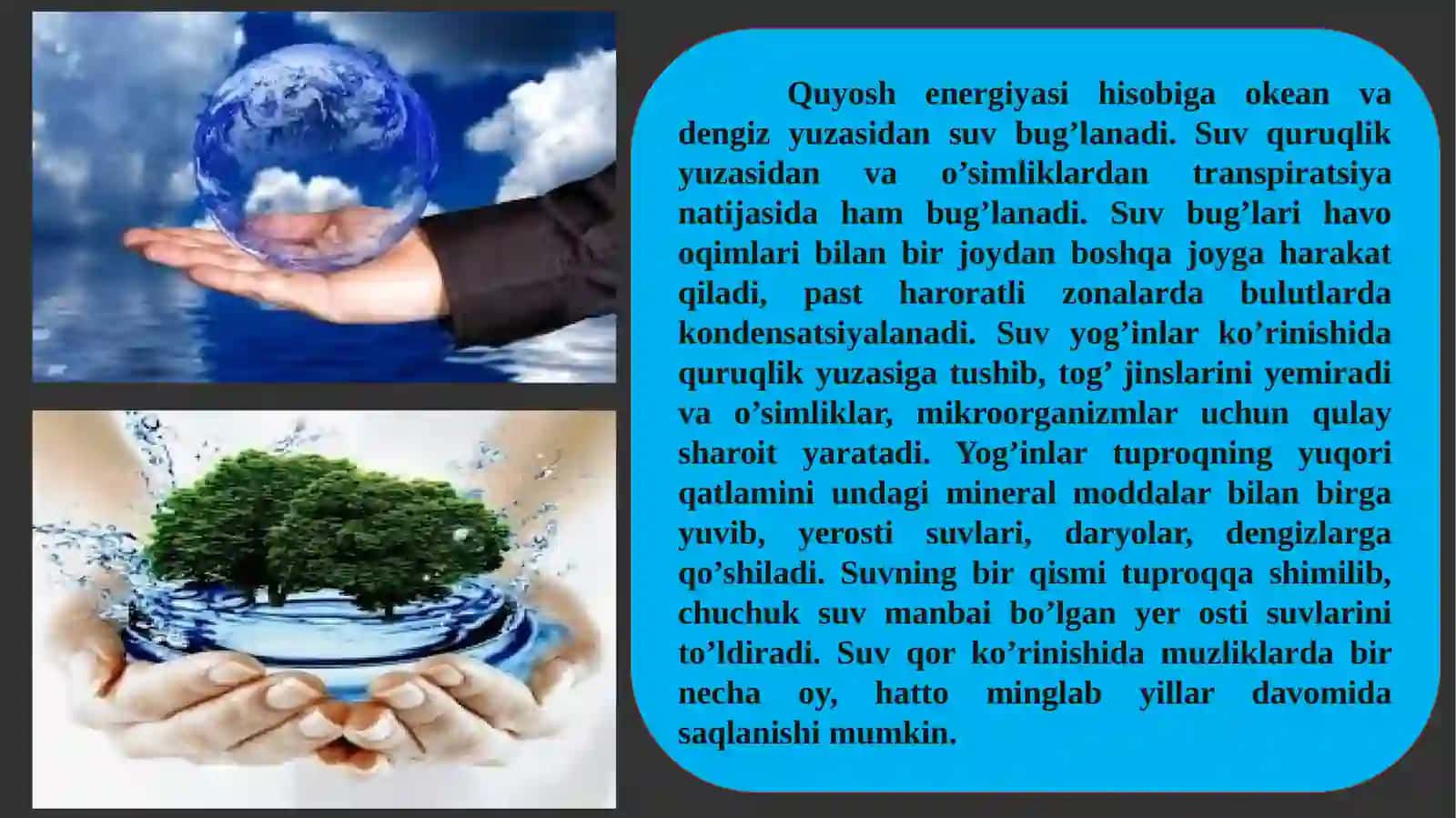 Biogeokimyoviysikl 4