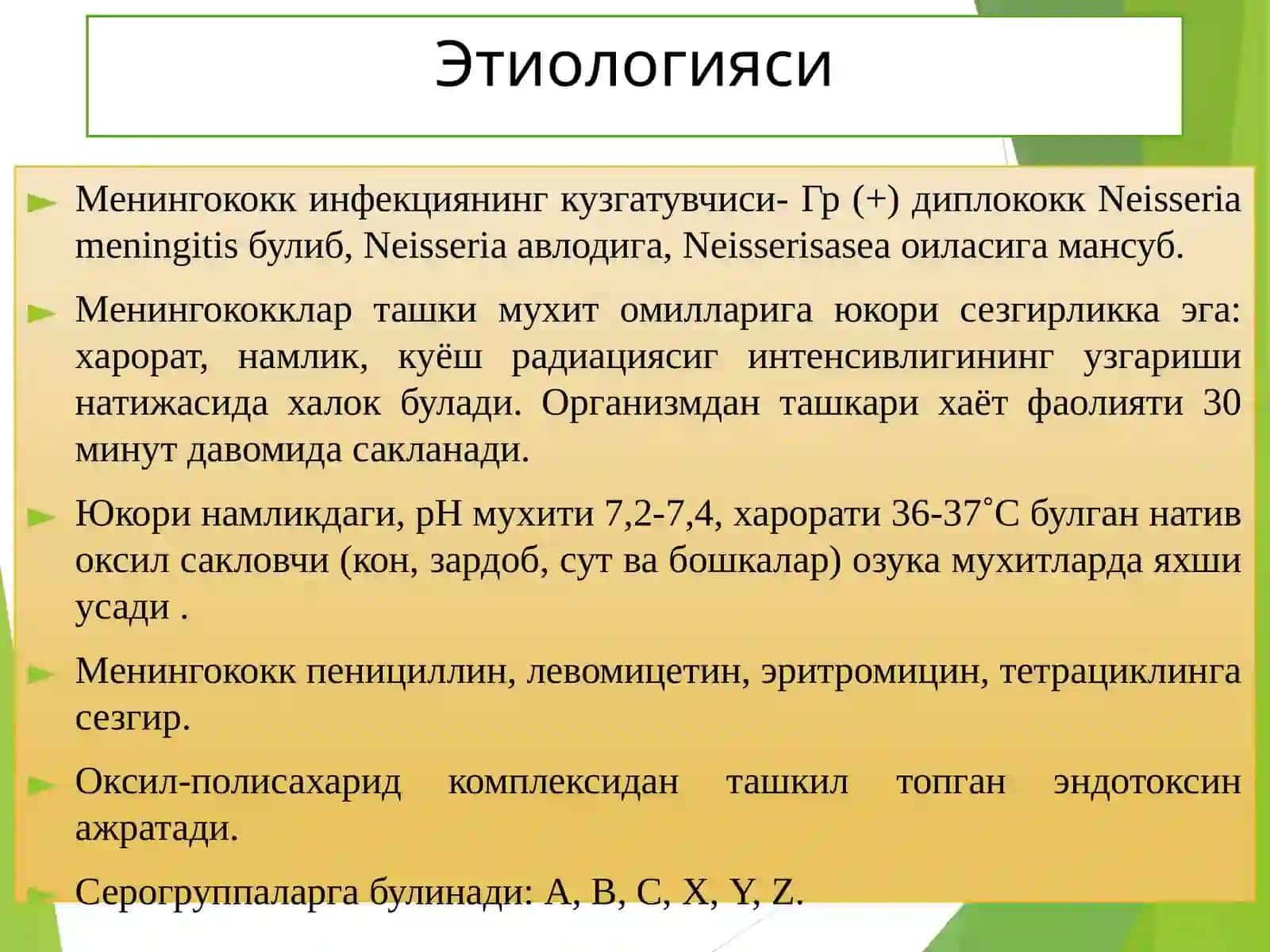 Менингококкли инфекция энцефалит ва полиомиелит патоморфологияси 4