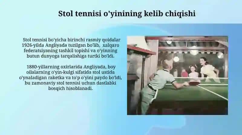 Professional stol tennisi 4