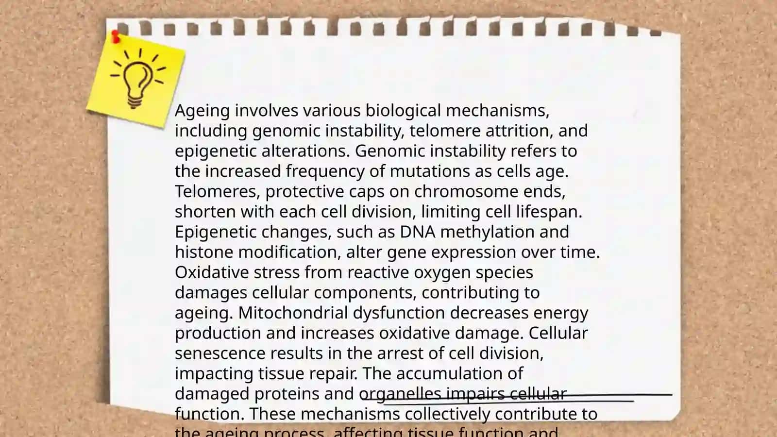 Ageing 4