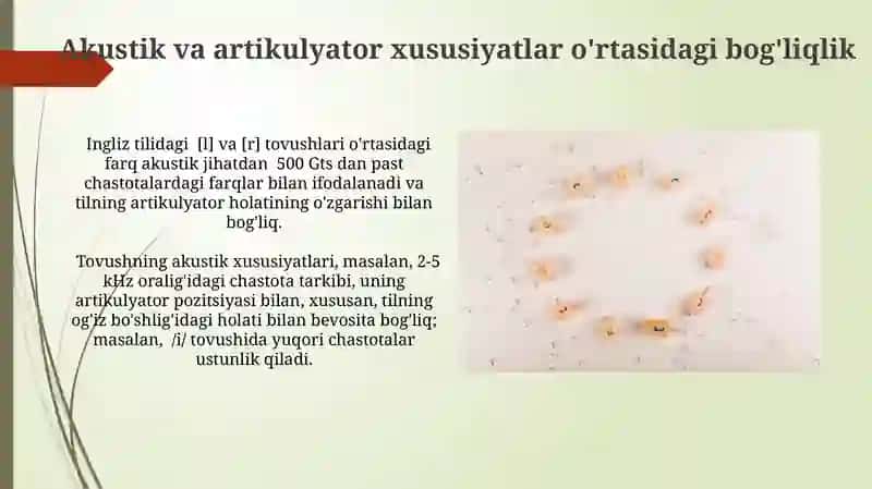 Unli tovushlarning akustik va artikulatsion xususiyatlari 4