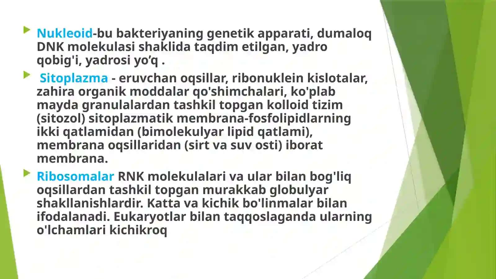 Bakteriyahujayrasining tuzilishi 4