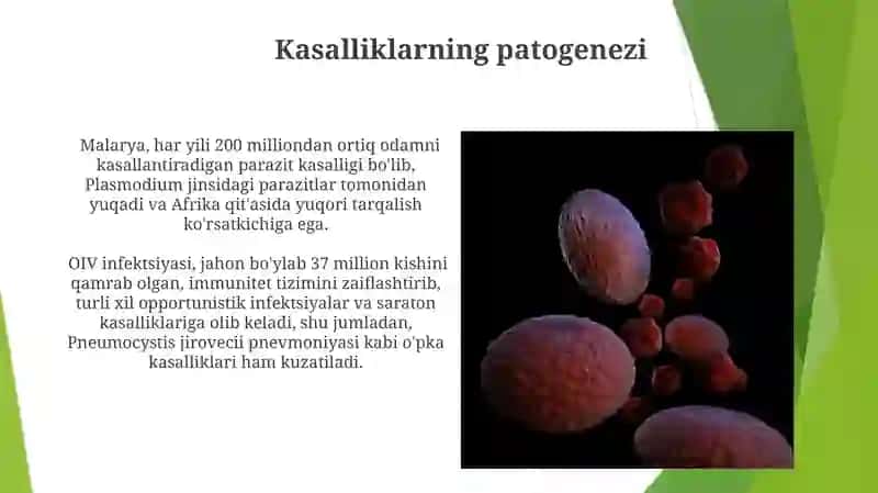 Kasalliklargachidamlilik 4